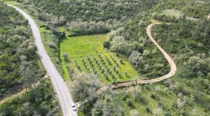 Terrain agricole à Podentes de 7 518 m²