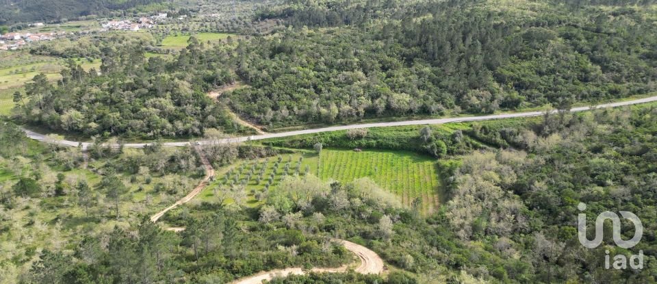 Farm land in Podentes of 7,518 m²