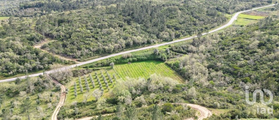 Farm land in Podentes of 7,518 m²