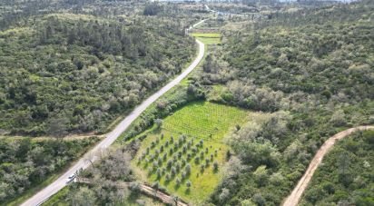 Terrain agricole à Podentes de 7 518 m²