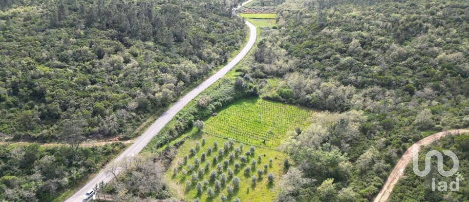 Farm land in Podentes of 7,518 m²