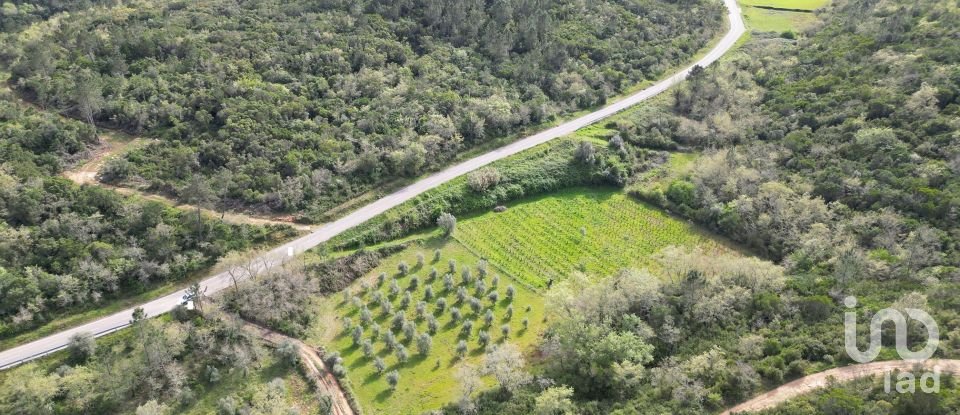 Farm land in Podentes of 7,518 m²