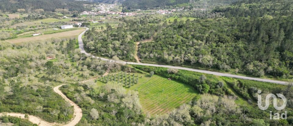 Farm land in Podentes of 7,518 m²