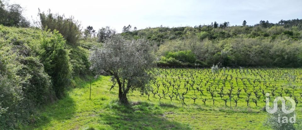 Farm land in Podentes of 7,518 m²