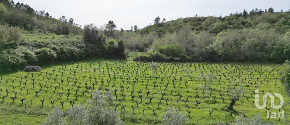 Farm land in Podentes of 7,518 m²