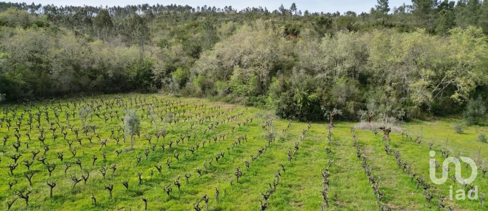 Farm land in Podentes of 7,518 m²