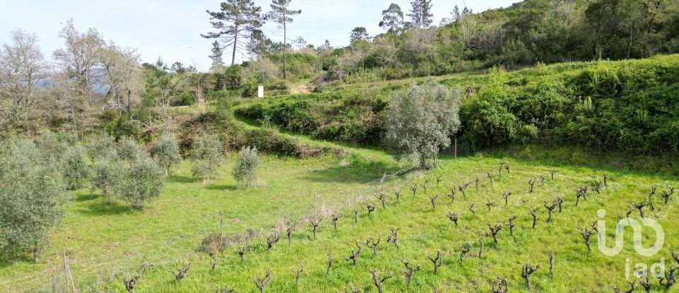 Farm land in Podentes of 7,518 m²