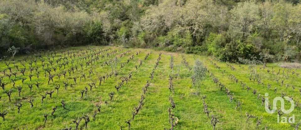 Farm land in Podentes of 7,518 m²