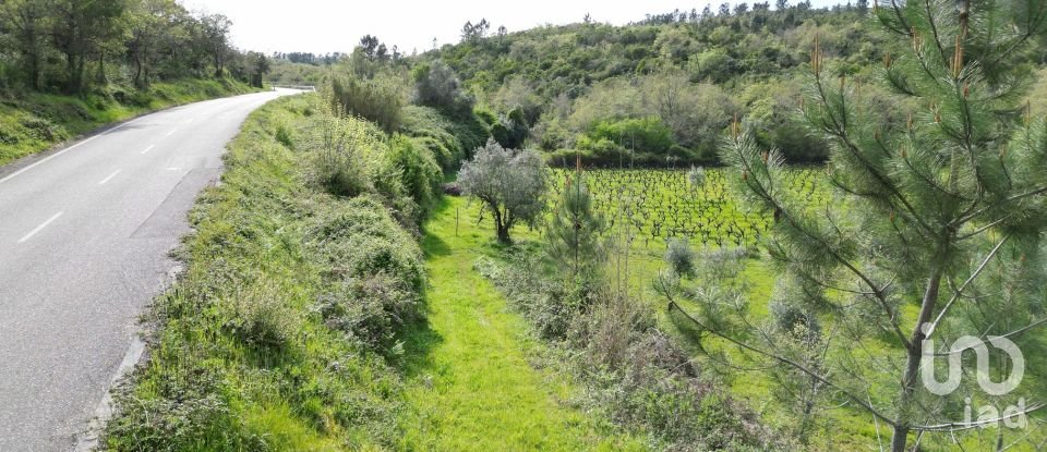 Farm land in Podentes of 7,518 m²