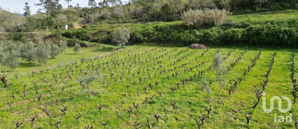 Farm land in Podentes of 7,518 m²