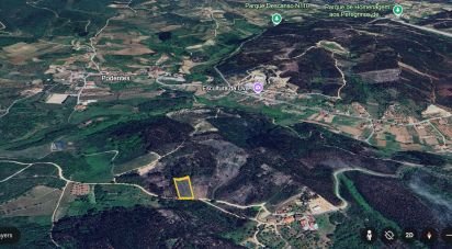 Terrain agricole à Podentes de 2 613 m²