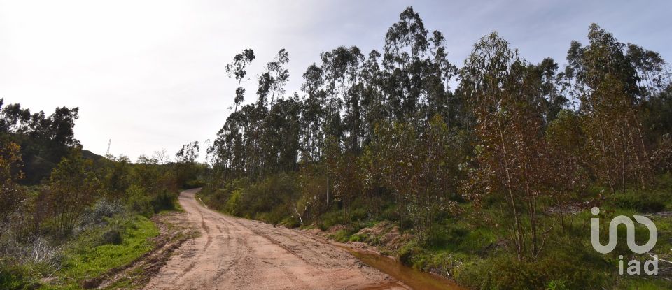 Terreno rústico em Podentes de 2 613 m²