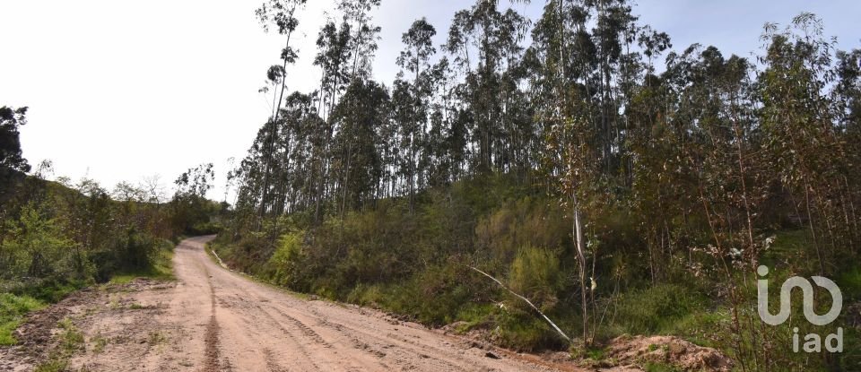 Terreno rústico em Podentes de 2 613 m²