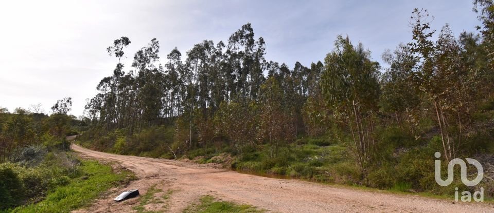 Terreno rústico em Podentes de 2 613 m²