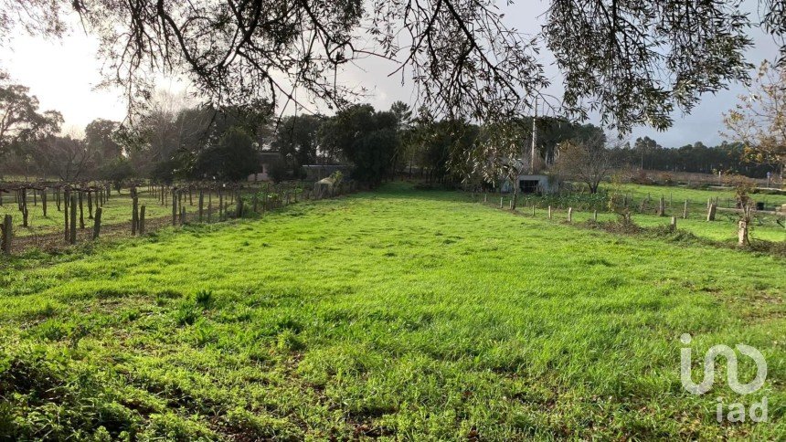 Building plot in Mazedo e Cortes of 2,600 m²