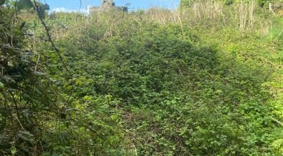 Maison rustique T2 à Santo Amaro de 36 m²