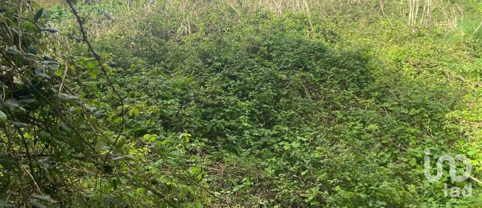 Country home T2 in Santo Amaro of 36 m²