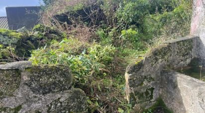 Maison rustique T2 à Santo Amaro de 36 m²