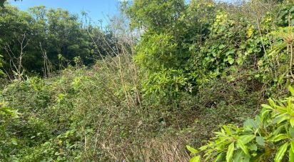 Maison rustique T2 à Santo Amaro de 36 m²