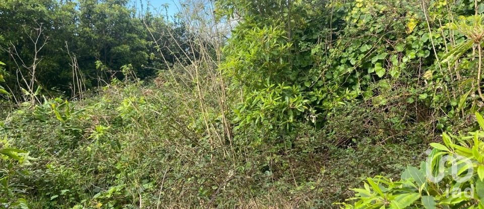 Country home T2 in Santo Amaro of 36 m²