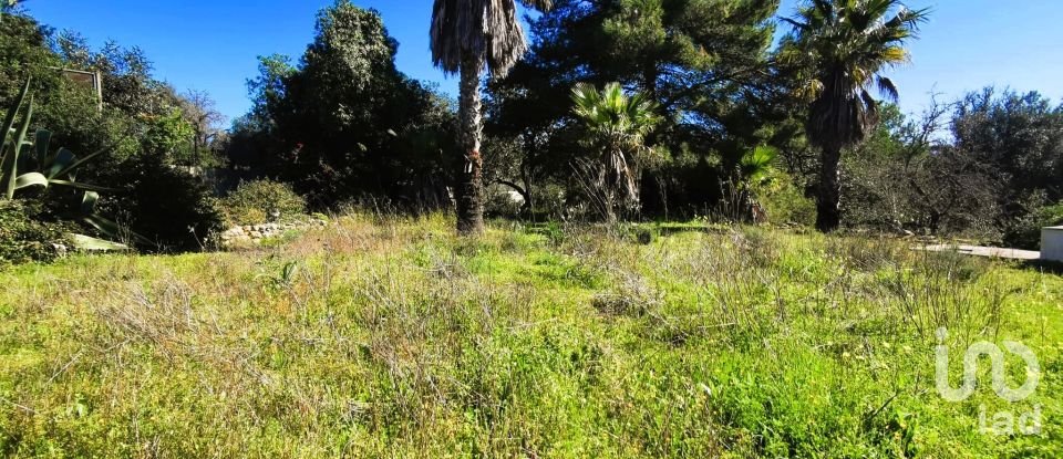 House T3 in Estômbar e Parchal of 235 m²