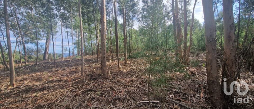 Building plot in Nogueira, Meixedo e Vilar de Murteda of 3,216 m²