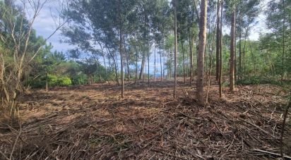 Building plot in Nogueira, Meixedo e Vilar de Murteda of 3,216 m²