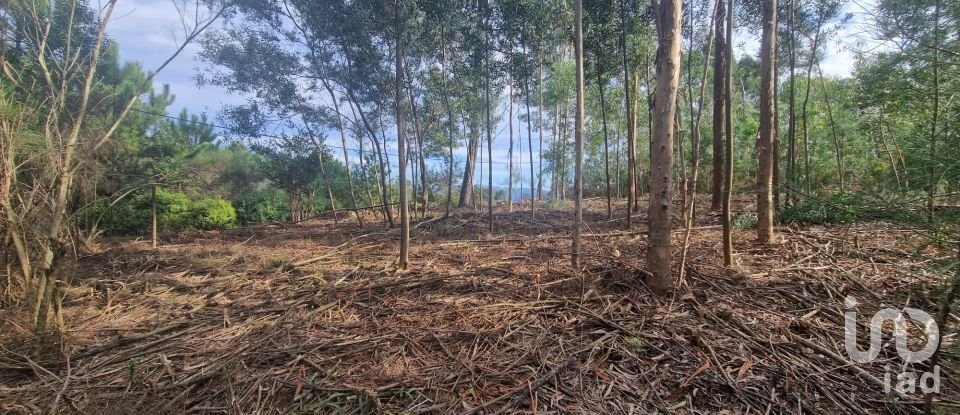 Building plot in Nogueira, Meixedo e Vilar de Murteda of 3,216 m²