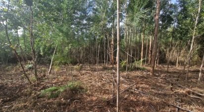 Building plot in Nogueira, Meixedo e Vilar de Murteda of 3,216 m²