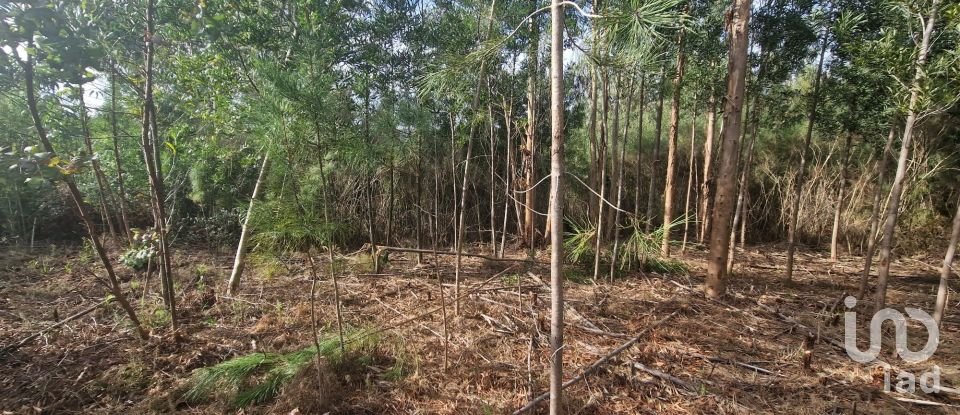 Building plot in Nogueira, Meixedo e Vilar de Murteda of 3,216 m²