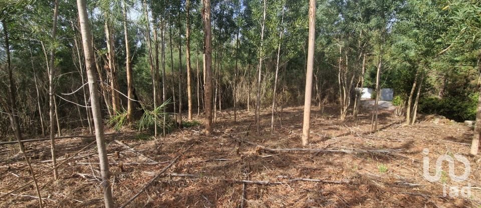 Building plot in Nogueira, Meixedo e Vilar de Murteda of 3,216 m²