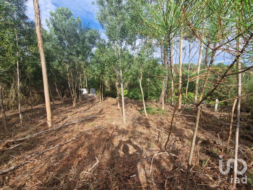 Building plot in Nogueira, Meixedo e Vilar de Murteda of 3,216 m²