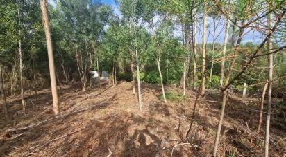 Building plot in Nogueira, Meixedo e Vilar de Murteda of 3,216 m²