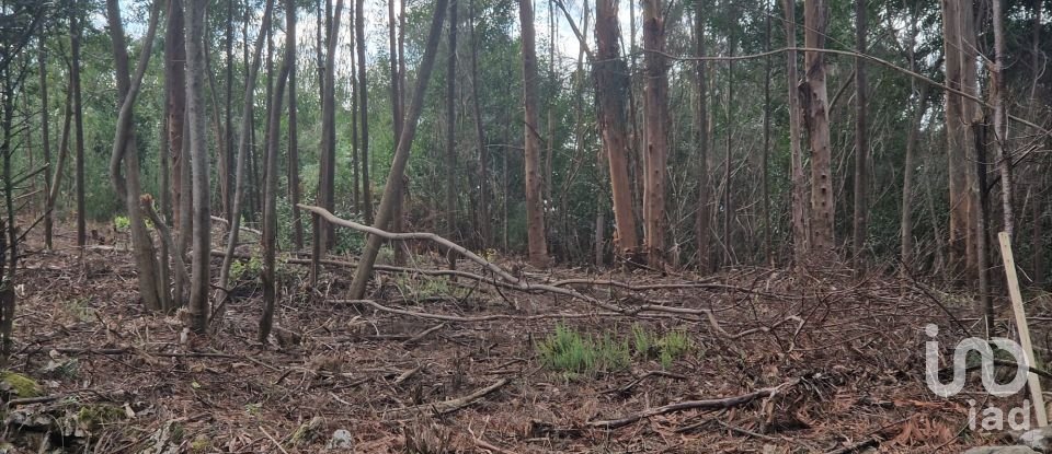 Building plot in Nogueira, Meixedo e Vilar de Murteda of 3,216 m²