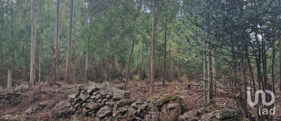 Building plot in Nogueira, Meixedo e Vilar de Murteda of 3,216 m²