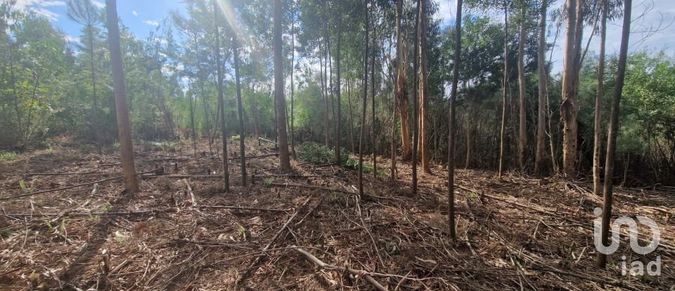 Building plot in Nogueira, Meixedo e Vilar de Murteda of 3,216 m²