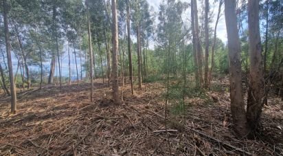 Building plot in Nogueira, Meixedo e Vilar de Murteda of 3,216 m²