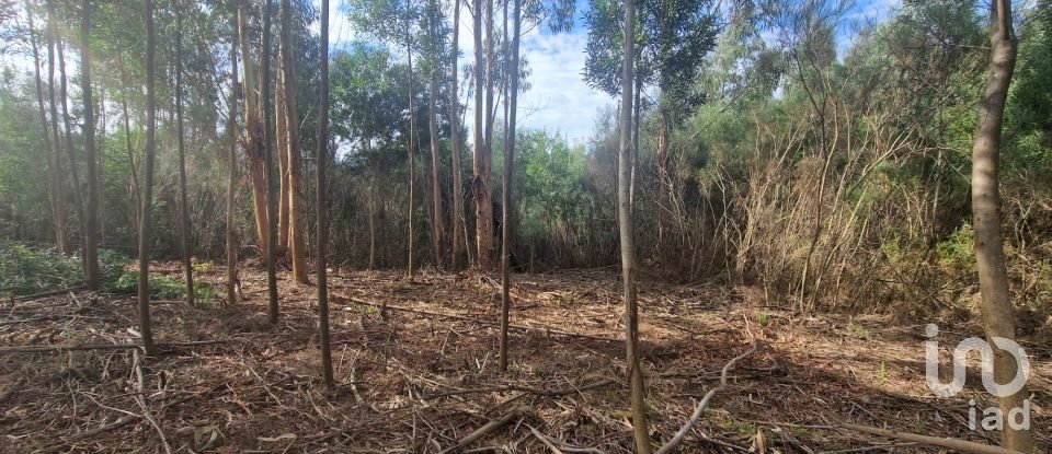 Building plot in Nogueira, Meixedo e Vilar de Murteda of 3,216 m²