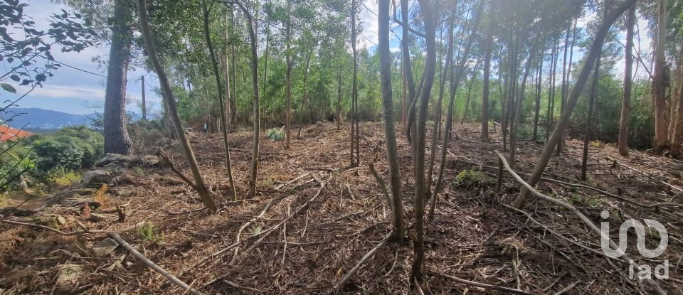 Building plot in Nogueira, Meixedo e Vilar de Murteda of 3,216 m²