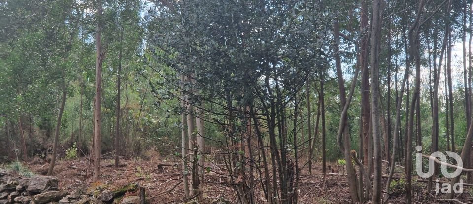 Building plot in Nogueira, Meixedo e Vilar de Murteda of 3,216 m²