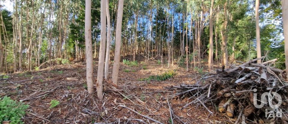 Building plot in Nogueira, Meixedo e Vilar de Murteda of 2,912 m²