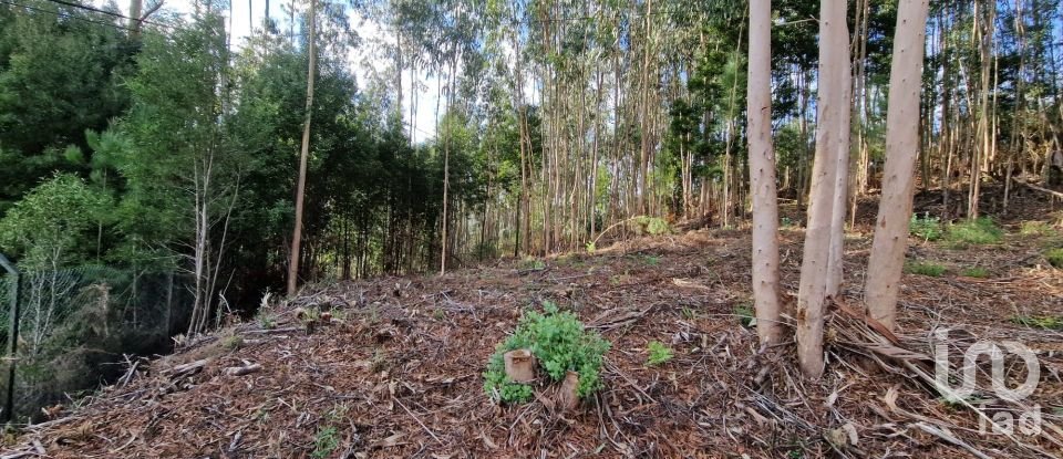 Building plot in Nogueira, Meixedo e Vilar de Murteda of 2,912 m²