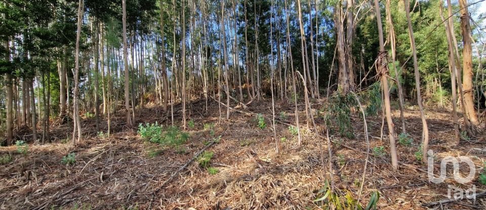 Building plot in Nogueira, Meixedo e Vilar de Murteda of 2,912 m²