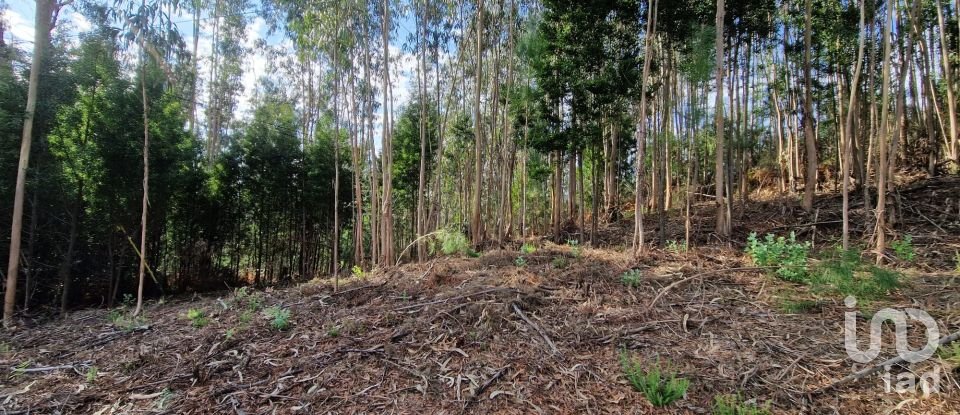 Building plot in Nogueira, Meixedo e Vilar de Murteda of 2,912 m²