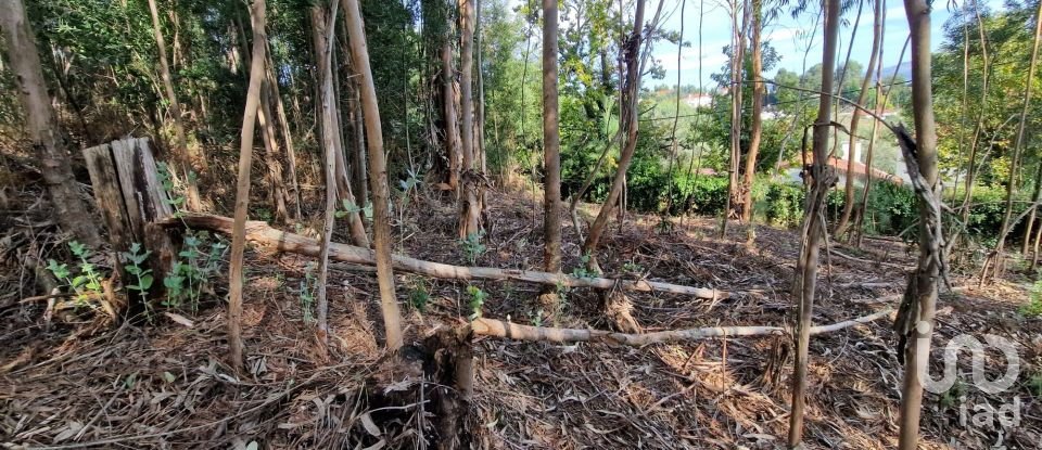 Building plot in Nogueira, Meixedo e Vilar de Murteda of 2,912 m²