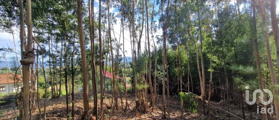 Building plot in Nogueira, Meixedo e Vilar de Murteda of 2,912 m²