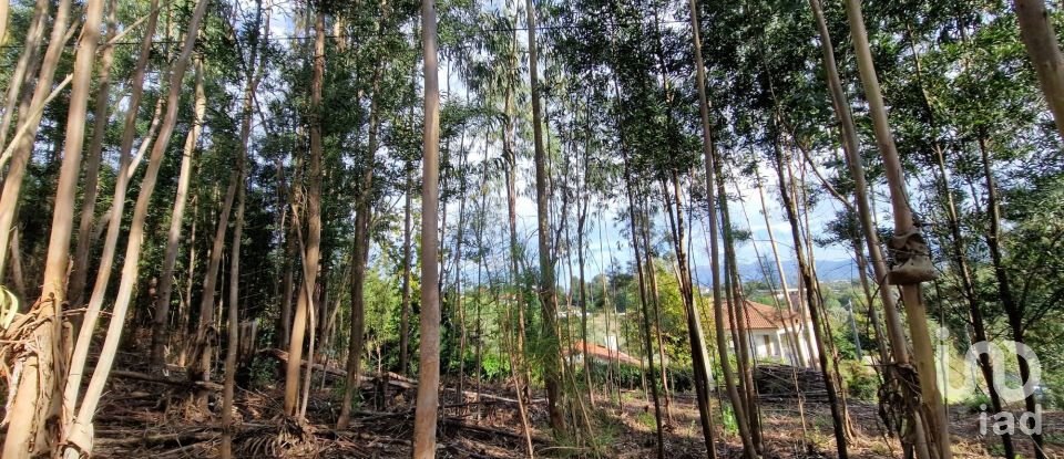 Building plot in Nogueira, Meixedo e Vilar de Murteda of 2,912 m²