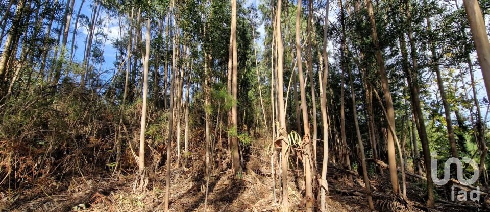 Building plot in Nogueira, Meixedo e Vilar de Murteda of 2,912 m²