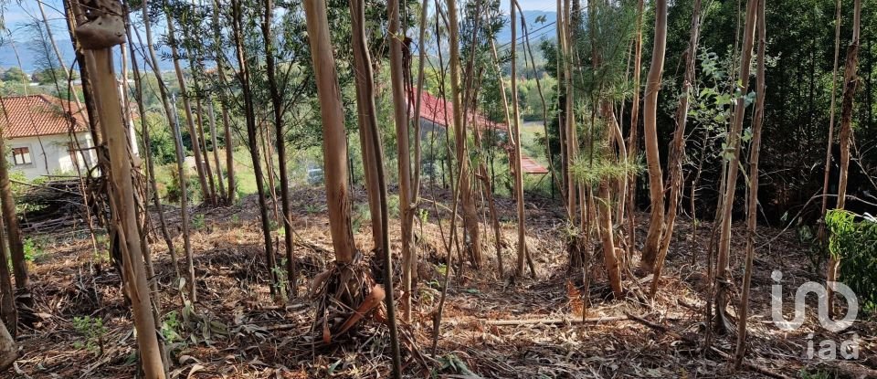 Building plot in Nogueira, Meixedo e Vilar de Murteda of 2,912 m²
