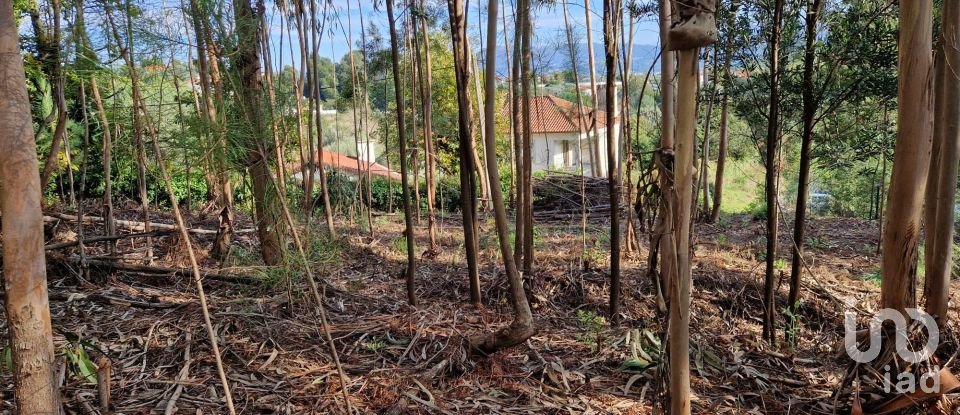 Building plot in Nogueira, Meixedo e Vilar de Murteda of 2,912 m²